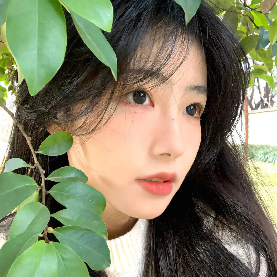 最后一次自由